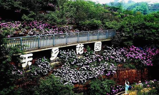 云林天乡