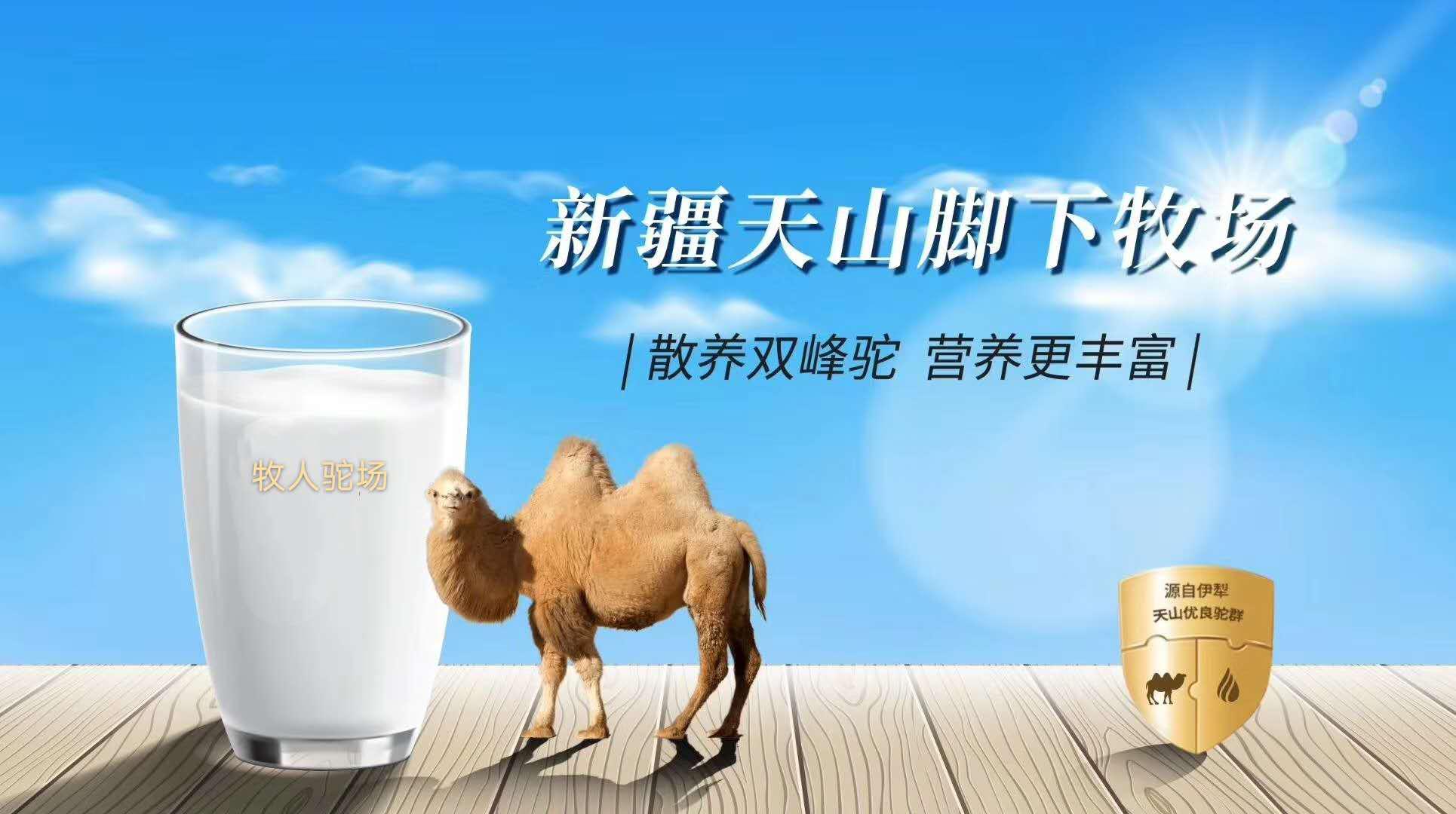 首先,骆驼奶的饮用有非常长久的历史和记载.