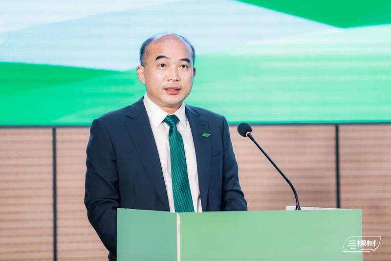 三棵树洪杰