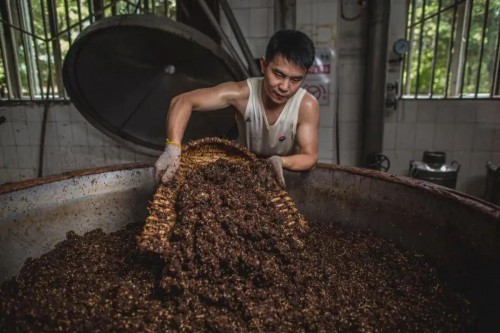 捕捉生活点滴温柔，茅台集团为员工提供免费早餐，增强员工幸福感