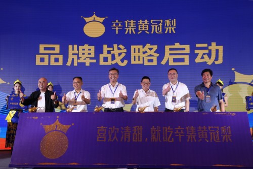 2020中国梨产业年会在河北辛集市召开“辛集黄冠梨”品牌挟“清甜”出道