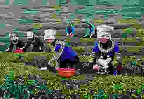 \