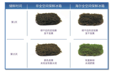 给食材“敷面膜”只是基础！布局场景，海尔冰箱以41.9%份额持续领跑