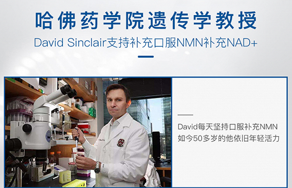 图片356.png