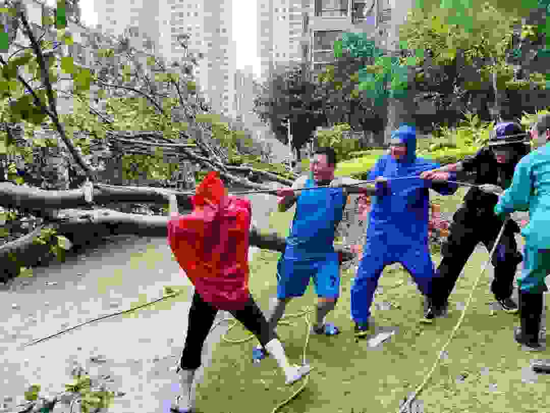 微信图片_20200820105421