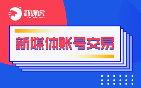 新媒虎