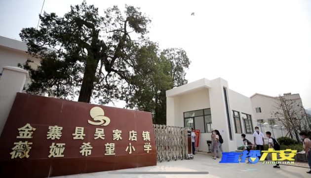 榜样力量：薇娅作表率，李佳琦烈儿宝贝等主播纷纷加入公益行动