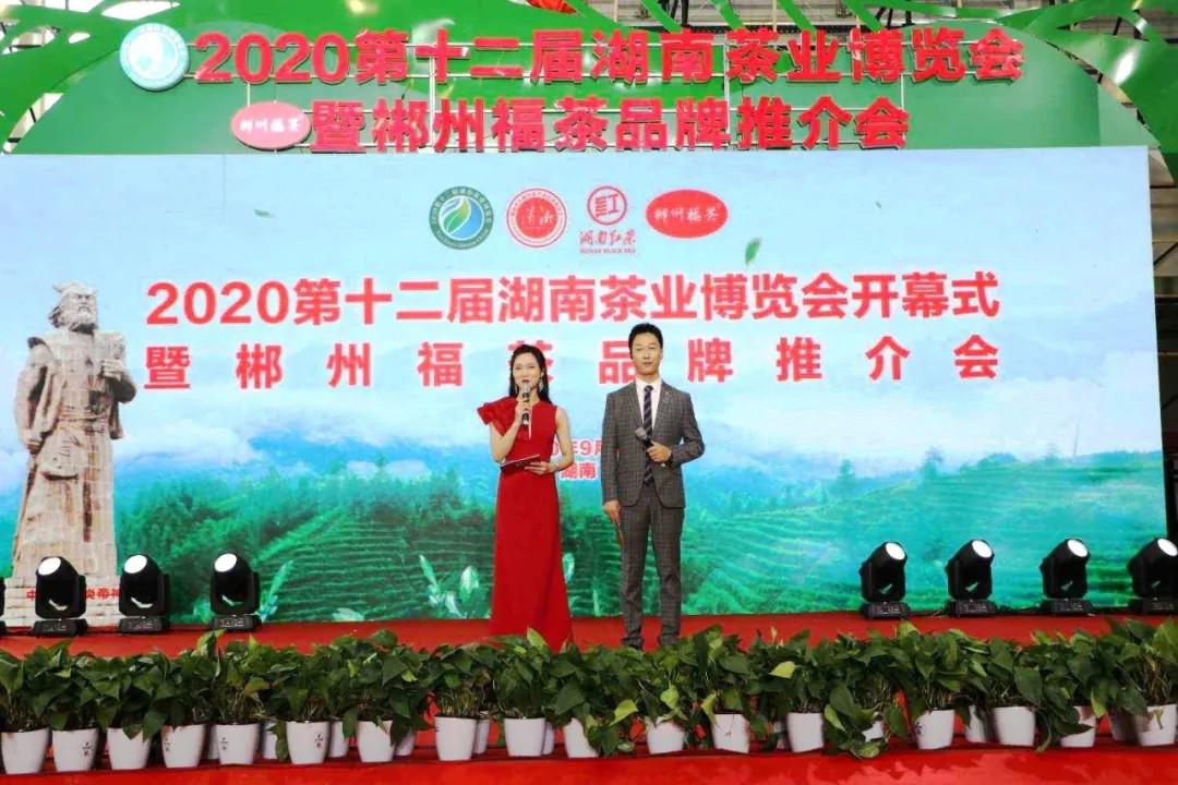 香木海安化黑茶闪耀第12届湖南茶博会，茶学教授大赞茶精华！