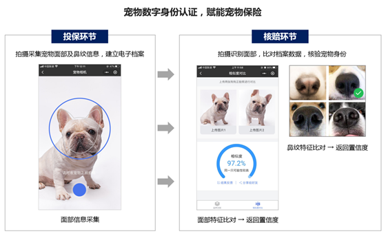 悦保科技宠物险投保、理赔.png