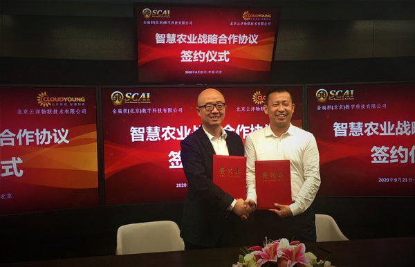“金扁担”赋能，启动“农”墨重彩