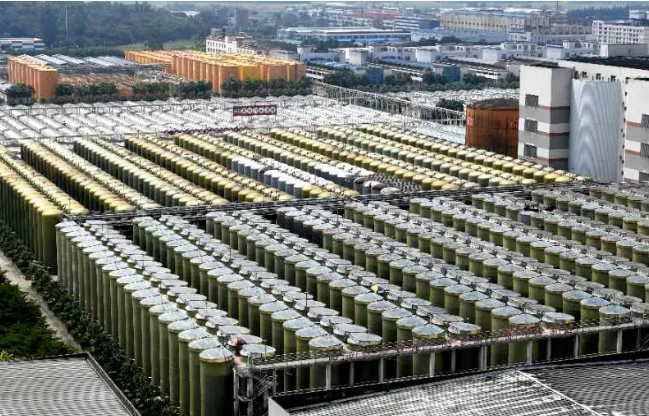 酱油生虫？原因没那么简单！