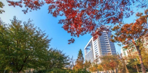 优胜教育：开学季，山东这所高校迎来14岁新生！