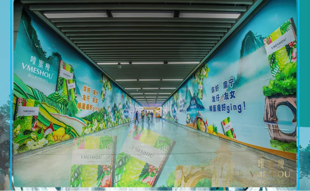 VMESHOU（唯蜜瘦）品牌感知呈现 绿城好ging！南宁地铁创意插画上线！
