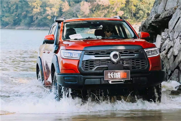 长城炮年销量114878台！网友：硬核实力太飒