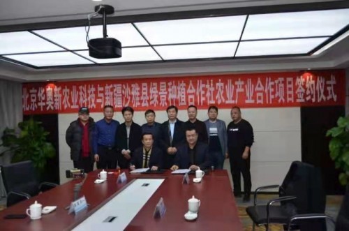 一路向西，北京华奥新农业携手新疆合作社共谋农业产业新未来