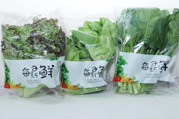 美食流蔬菜工厂首茬真芯菜上市啦!
