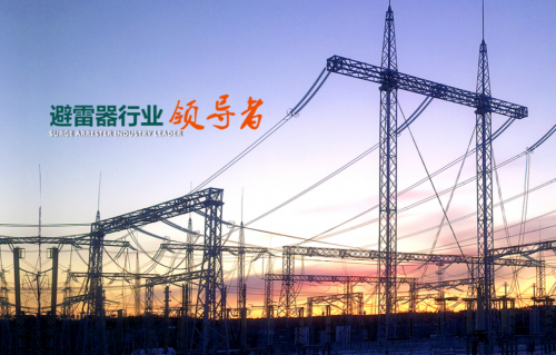 金冠电气：充分发挥企业优势 奋力开辟发展新局面