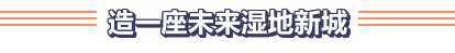 北二路沿线及金湖银河片区：崛起的未来湿地新城