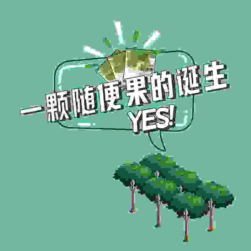 在四季优美一颗随便果的诞生：每一步，都专注
