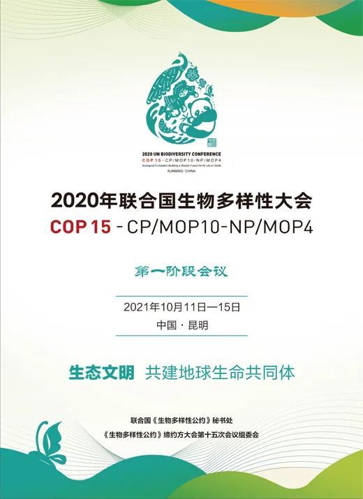 蕃茄田艺术“自然·而然”儿童绘画展支持联合国生物多样性