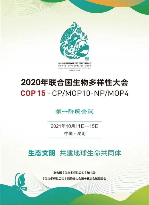 聚焦联合国COP15大会 蕃茄田艺术用爱守护生物多样性