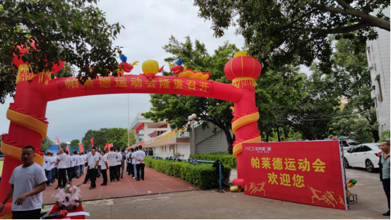 全民运动，帕莱德最强门窗人