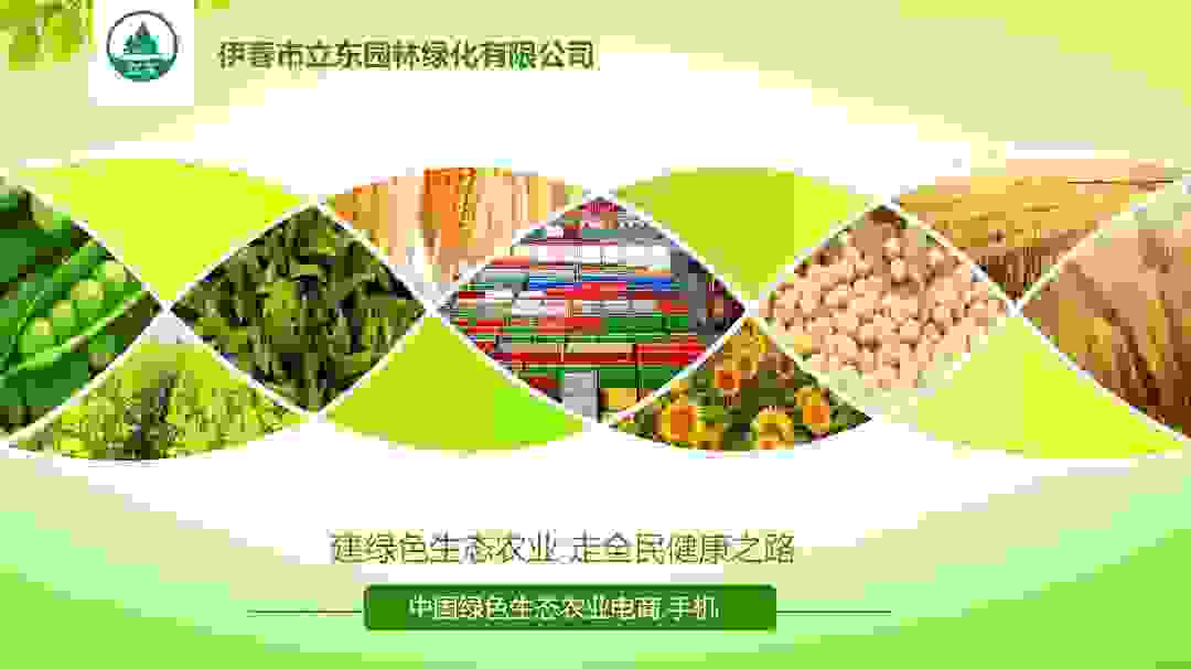 建绿色生态农业，走全民健康之路