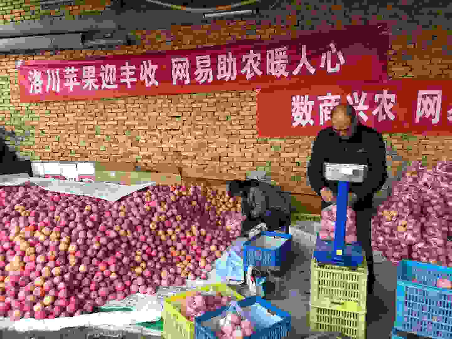 网易严选带货陕西苹果，数商兴农助力共同富裕