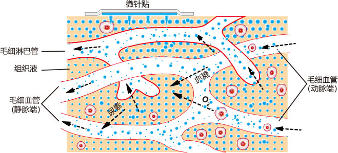 电商风靡，“国货”化妆品中科创美迎来新机遇？