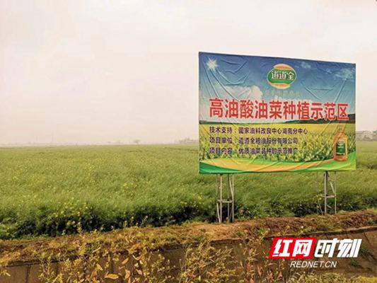 道道全进军高油酸市场，打造菜籽油产业“护城河”