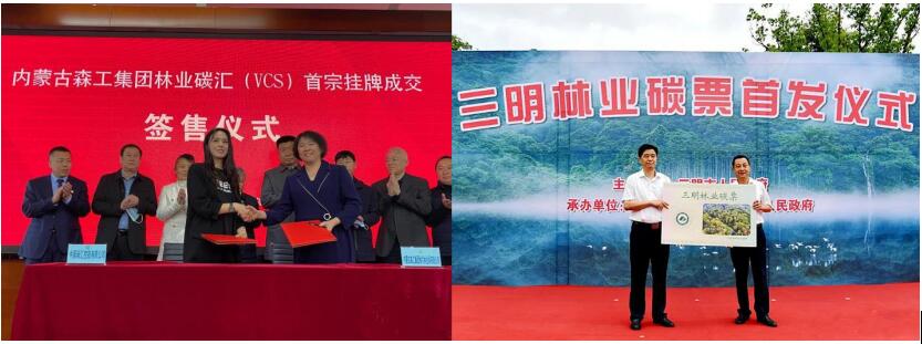 硕恒发集团孵化实体项目赏析-森林碳汇篇