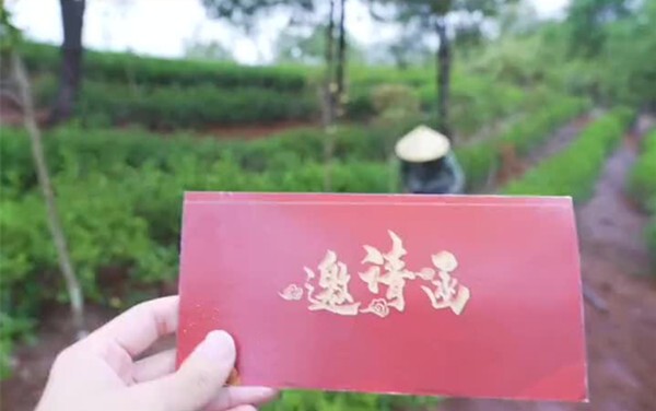 舌尖上的好茶，第十八届中国世界功夫茶大赛、茶品牌评选全国征募，12月厦门颁奖