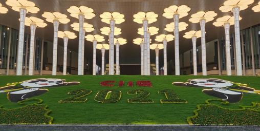 环博云带您走进不一样的2021进博会