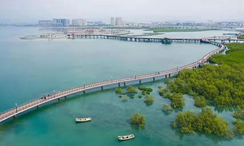 中洲滨海华府120套瞰海现楼推出，尽显深圳自豪感(图4)