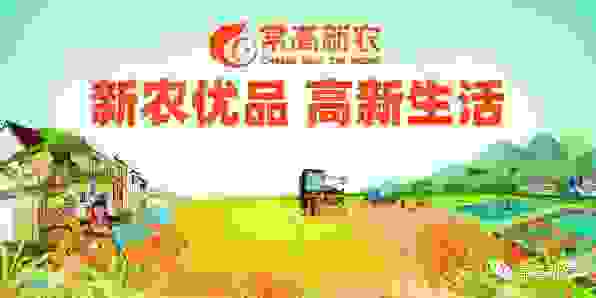 你好呀常高新农