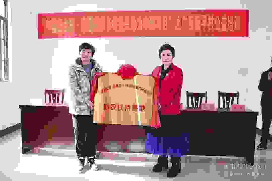 金香柑熟助共同致富 新平村迎美好振兴——“中国妇女报·莎蔓莉莎乡村振兴助力巾帼项目”走进广西南宁