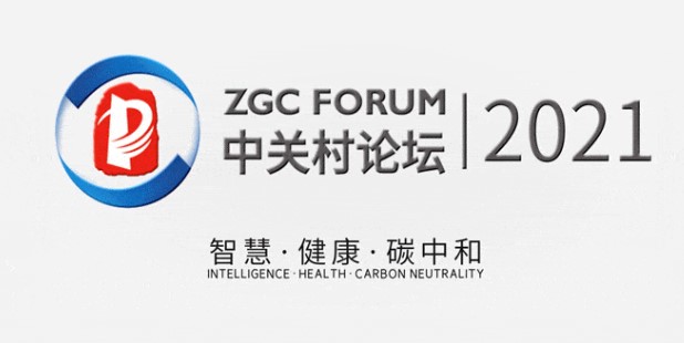 【同木里程碑】秋蕴冬藏待春发 同心共立参天木