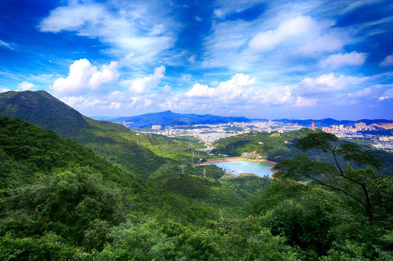 图片6.jpg