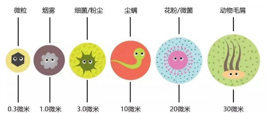 杀灭99.9%冠状病毒，NCCO去除甲醛，b-MOLA双重守护家庭健康