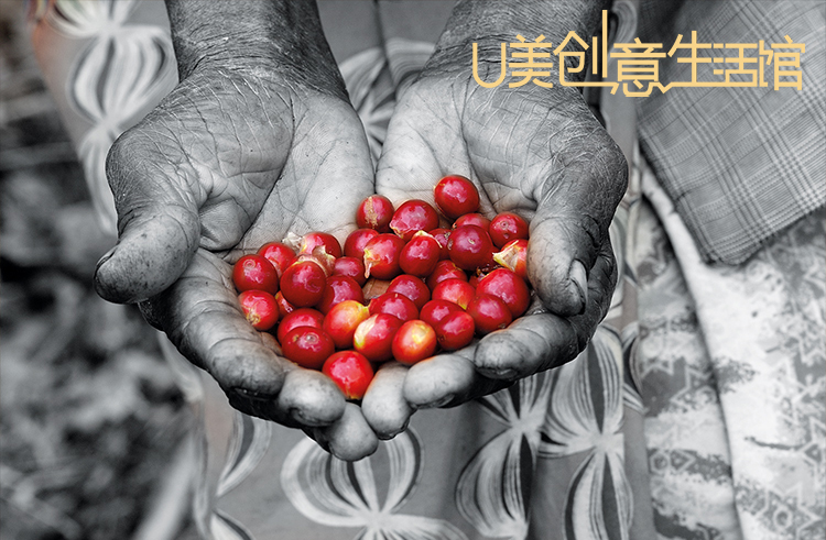 U美创意生活馆“联姻”ARISSTO原来早已情投意合