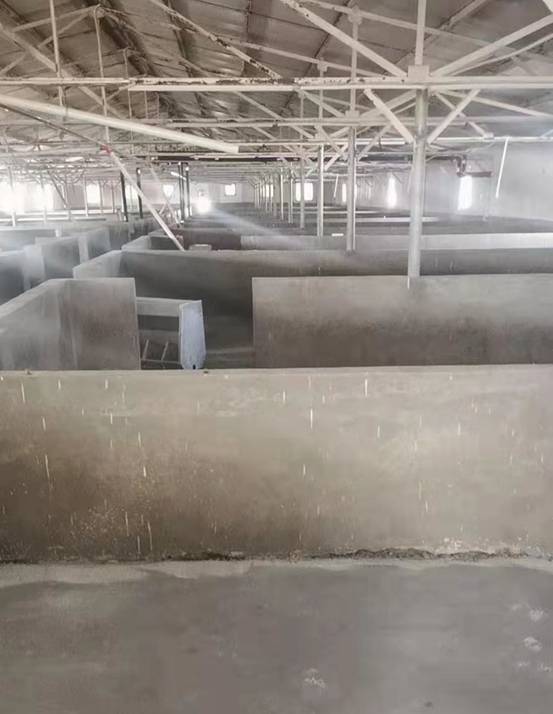 养猪场用纽恩泰空气能热泵，省钱省力还能提高猪的生长速度