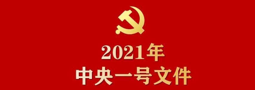 中央一号文件发布！助力乡村振兴，点购商城在行动！