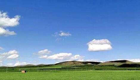 旗帜奶粉专注奶源建设，“0124”模式成就鲜活品质