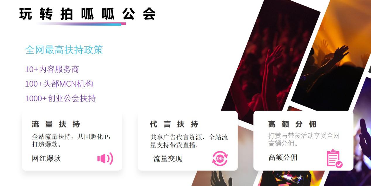 重磅！拍呱呱‘年度发展规划’独家公布！