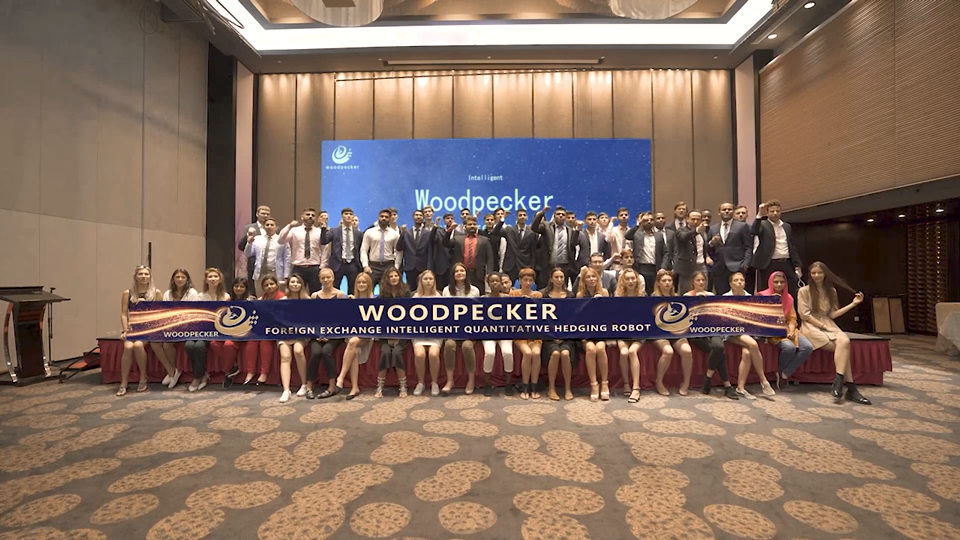 Intelligent Woodpecker Ltd 英国伦敦软件发布会