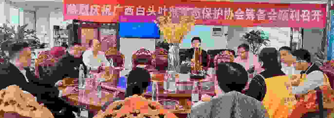 这里是全球最多的白头叶猴之乡-广西白头叶猴生态保护协会筹备会
