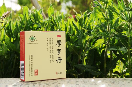 脾虚者更易犯“春困”? 家中常备摩罗丹护卫消化健康