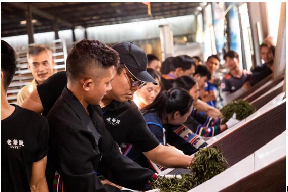 老爷说不将就 春茶季营造良好的普洱茶市场环境