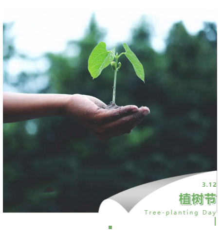 天津康婷：植树节有什么意义？