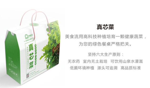 食品安全 守护健康 | 美食流智慧农业为食品安全护航